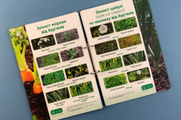 Разработка каталогов AG City