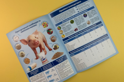 Дизайн и печать буклета