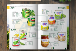 Дизайн и печать брошюр AG City